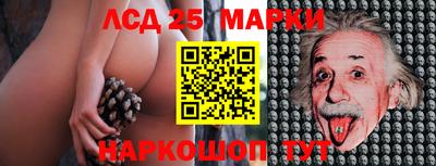 индика Ставрополь