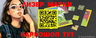 индика Ставрополь