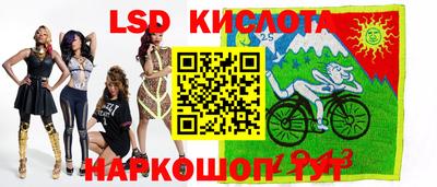индика Ставрополь