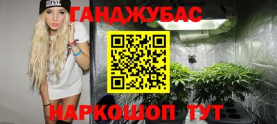 индика Ставрополь