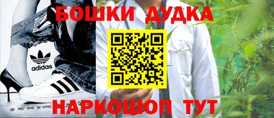 индика Ставрополь
