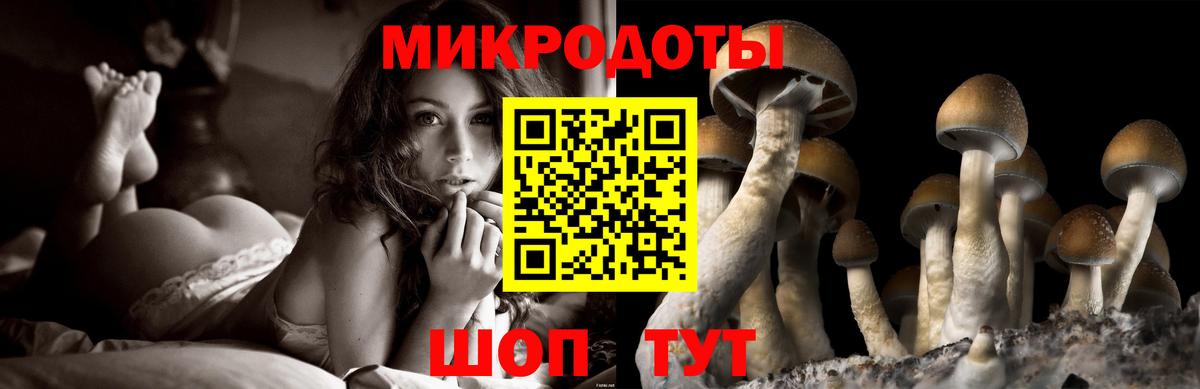 Псилоцибиновые грибы GOLDEN TEACHER  Галлюциногенные грибы GOLDEN TEACHER  где найти наркотики  Вход с VPN  Алушта 